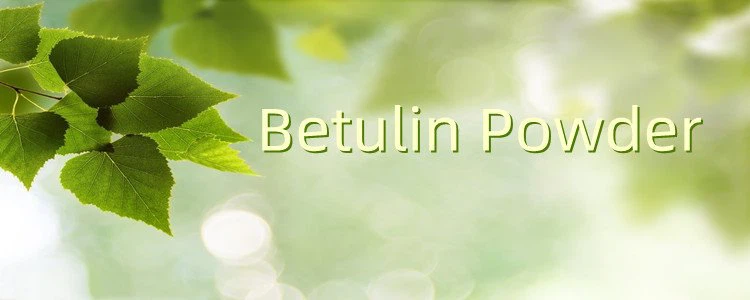 Betulin Powder.png